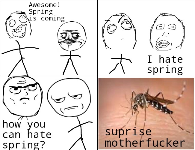 how you can hate spring? - meme