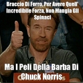the incredible Chuck Norris pt. 3
