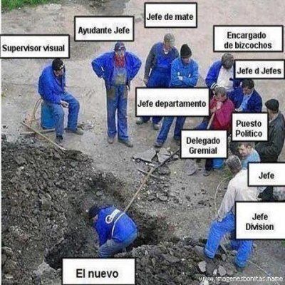 organigrama español - meme