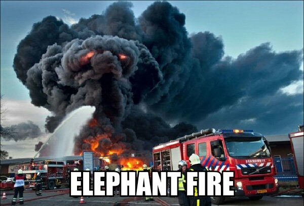 Fire in the zoo - meme