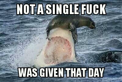 sorry shark...not today - meme
