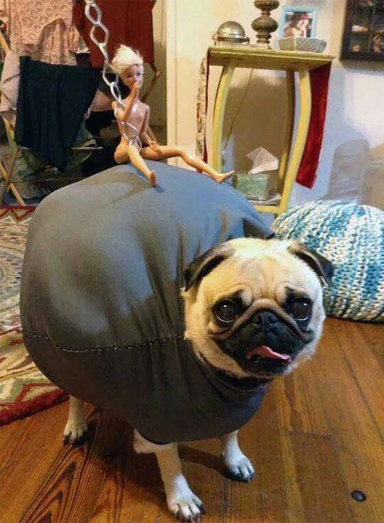 I came in like a Wrecking Ball.. - meme
