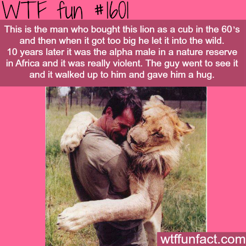 The feels!  - meme