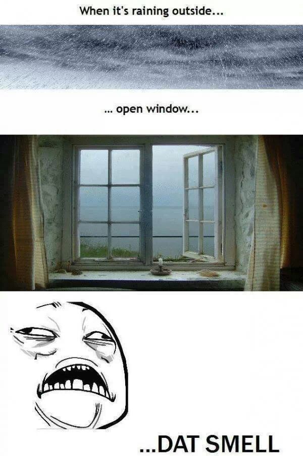 sleeping with the window open while it rains <3 - meme