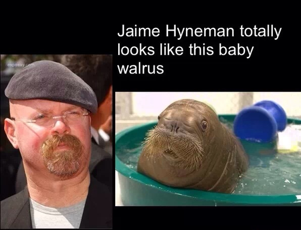 Dat Walrus - meme