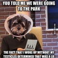 commented item thumbnail