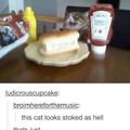 kitty is happy about a butter dog