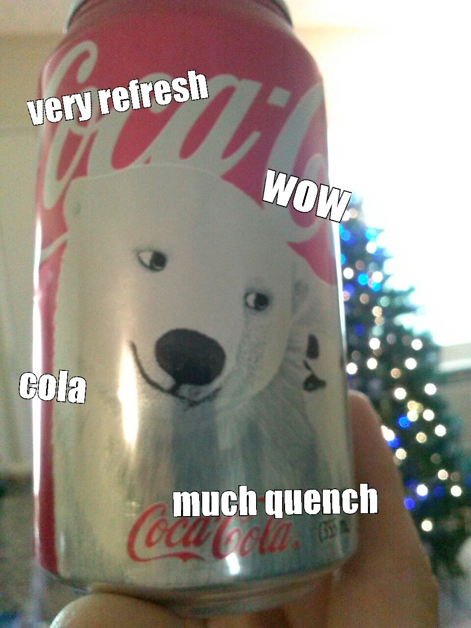 Polar Doge - meme