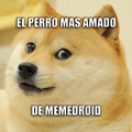 Doge el perro mas sexy del mundo