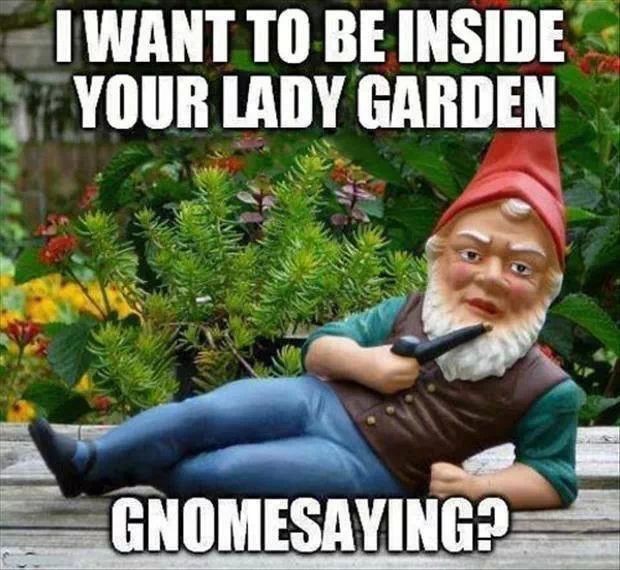 Do you gnome what I am saying? - meme