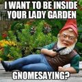 Do you gnome what I am saying?