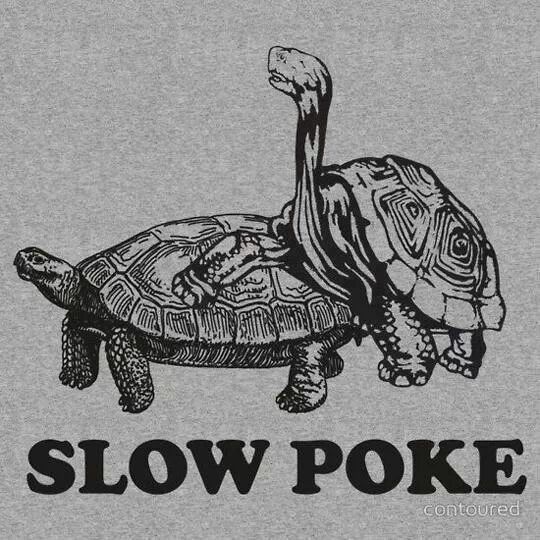 slow poke - meme