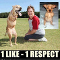 1 like = 1 respect