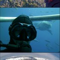 Some of the Most Dangerous Selfies ever
