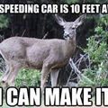 Deer logic