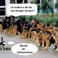 pas bouger !!