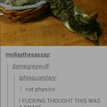 Cat physics xp