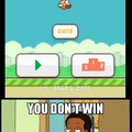 Curse you Flappy Bird!