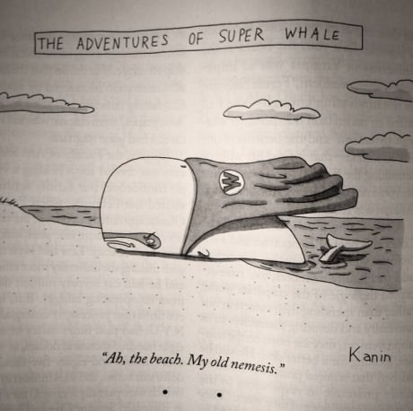 super whale - meme