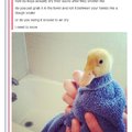 cleaning your duck