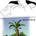 palmface