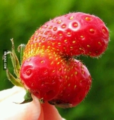Strawberry - meme