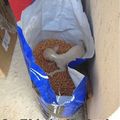 commented item thumbnail