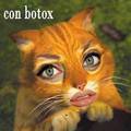 con botox