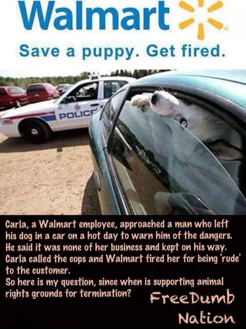 dafuq Walmart - meme