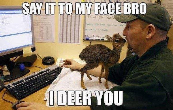 deer:D - meme