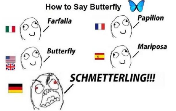 Schmetterling! - meme