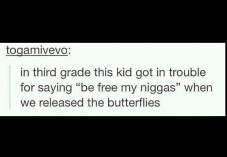 Dem butterflies - meme