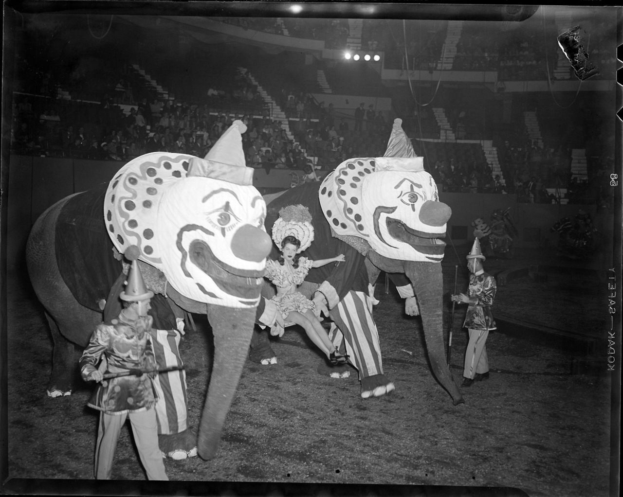 Scary 1940s Circus Elephants - meme