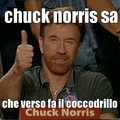 chuck norris