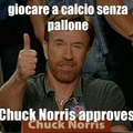 Chuck Norris approves