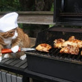 alley cat master chef