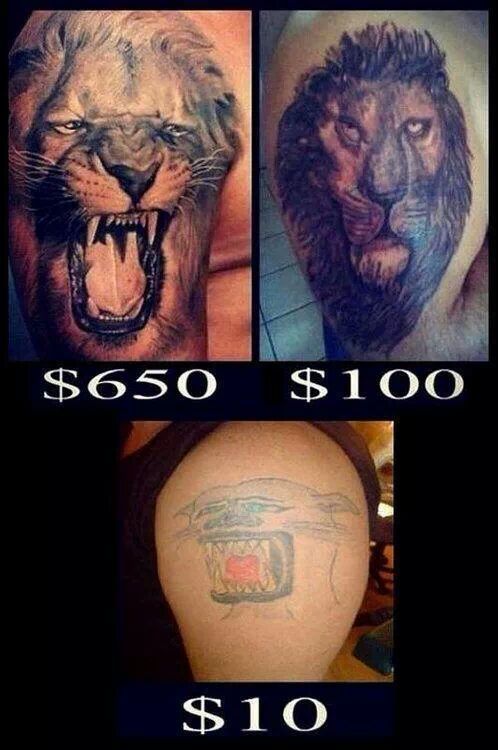lion tattoo - meme