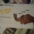 how my dads geico mail came in. yes his name is Frank
