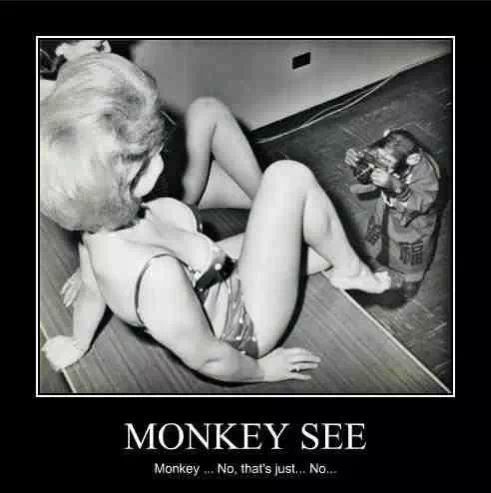 Money shot or monkey shot? - meme