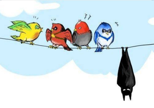 bat.. bird? By batduck - meme