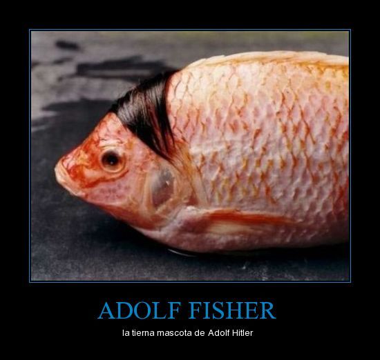 Adolf fisher - meme