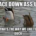 Duck me all nite long!