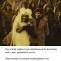 Scary wedding