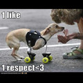 like for respect
