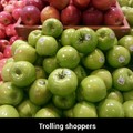 Trolling shoppers