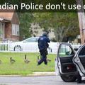 Theres criminals in canada?