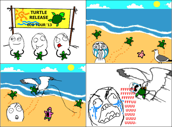 bad luck turtle - meme