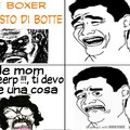 mom vs boxer