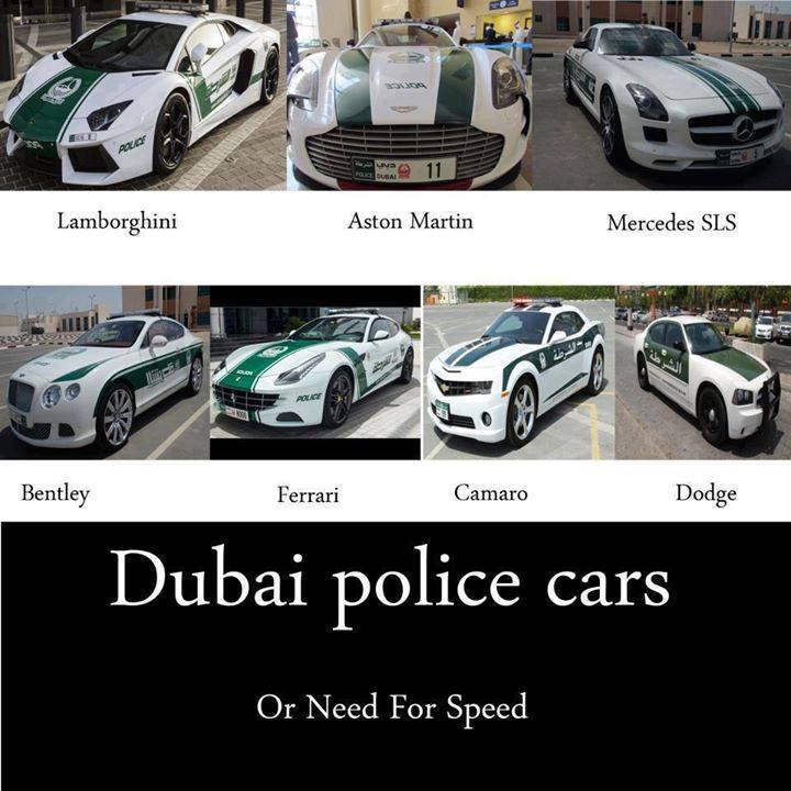 mother of police cars! - meme