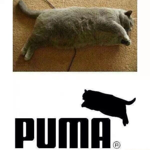 Puma)) - meme